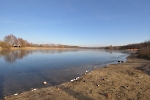 Herbst am Stausee 3