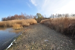 Herbst am Stausee 5