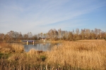 Herbst am Stausee 6
