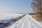 Winter am Stausee 4