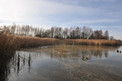 Herbst am Stausee 4