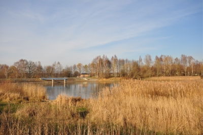 Herbst am Stausee 6