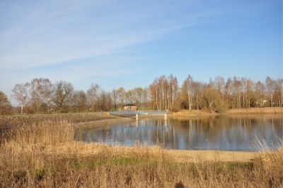 Herbst am Stausee 7