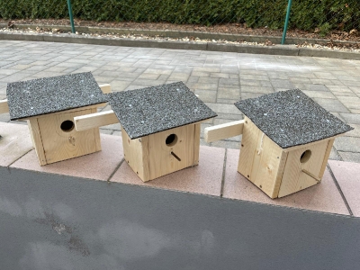 Neue Nistkästen 1